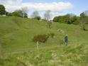 lime kiln dig weekend (13)